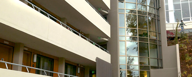 Exterior view of the Higginson Hall windows