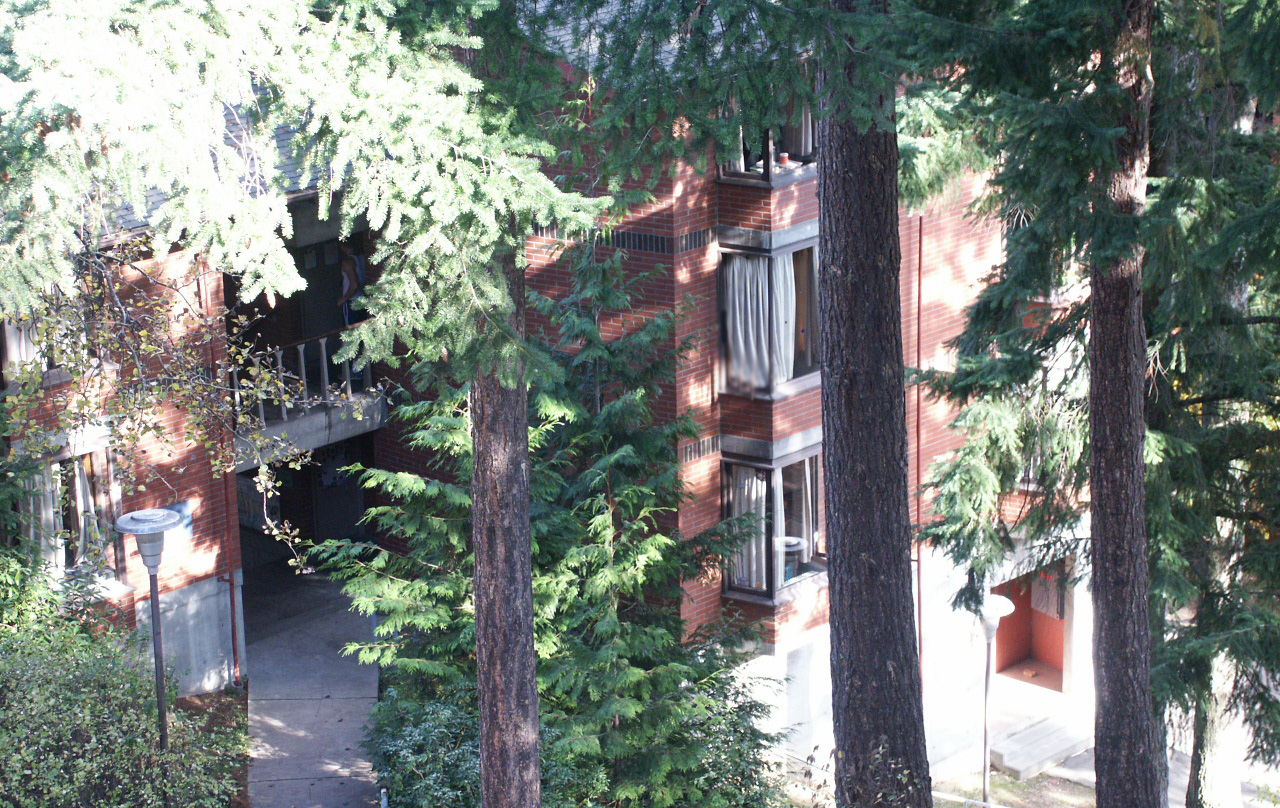 Exterior shot of Ridgeway Beta through the trees on a sunny day